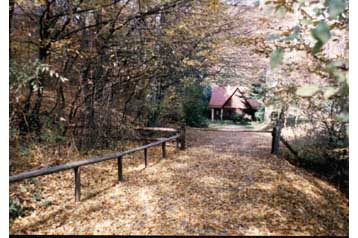 Počitniška hiša Halič 6